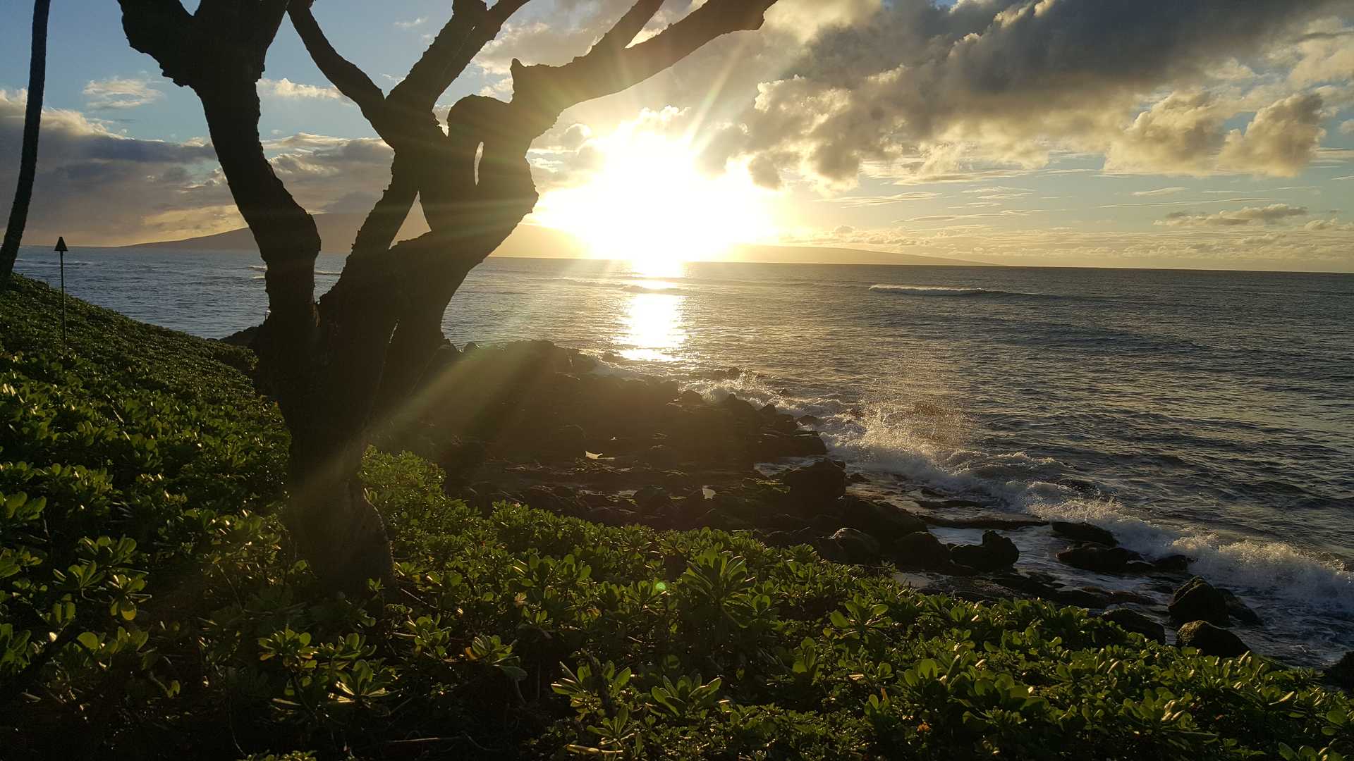 Bright sunset over the ocean as the waves crash into the rocky shore. Foreground has trees and green plants