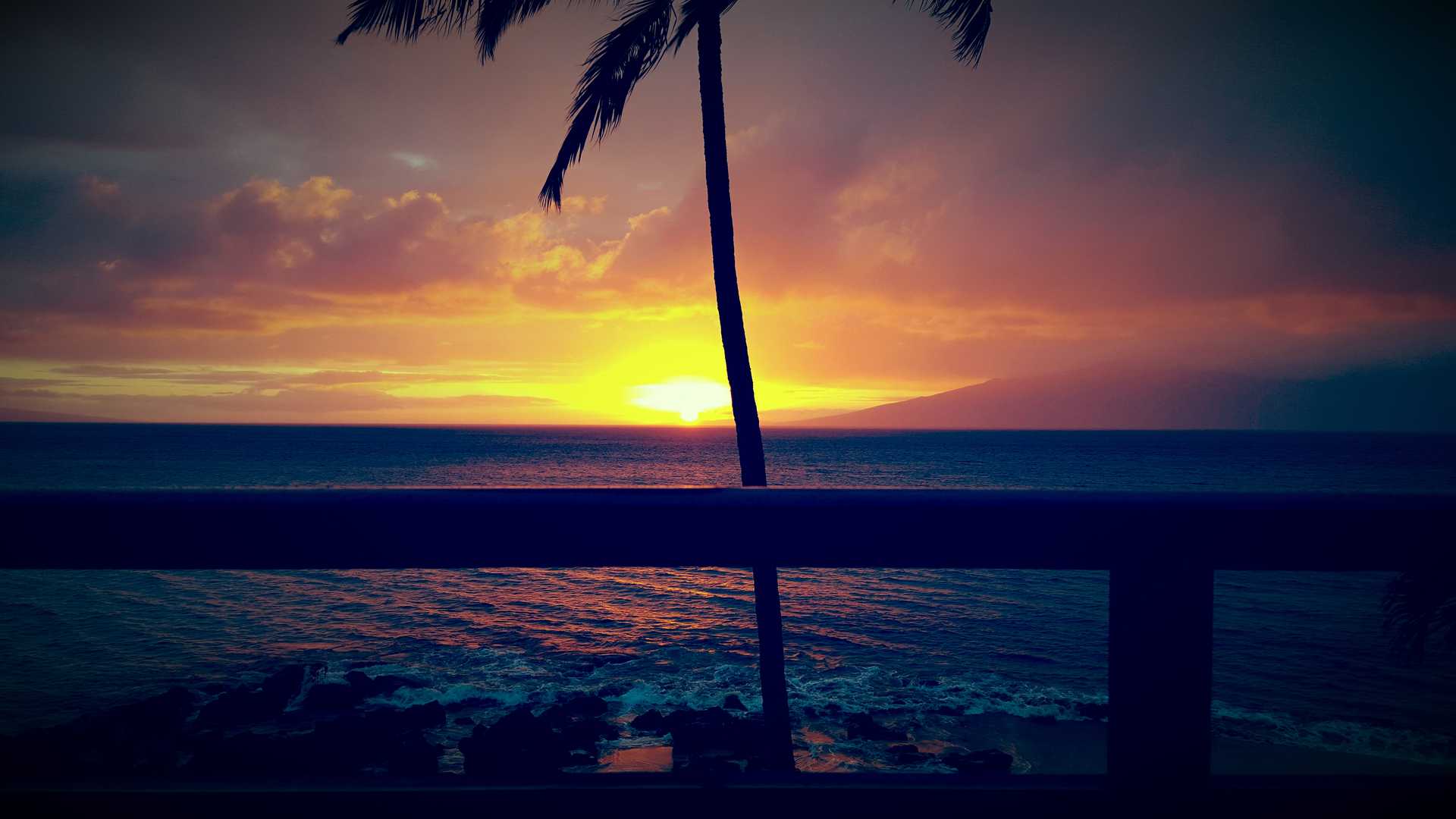 Sunset over the ocean with palm tree and railing of lanai in foreground. Island in the background.